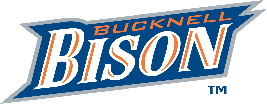 Bucknell Bison 2002-Pres Wordmark Logo iron on transfers for clothing